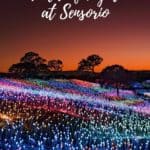 field of light at sensorio