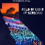 Field of Light at Sensorio