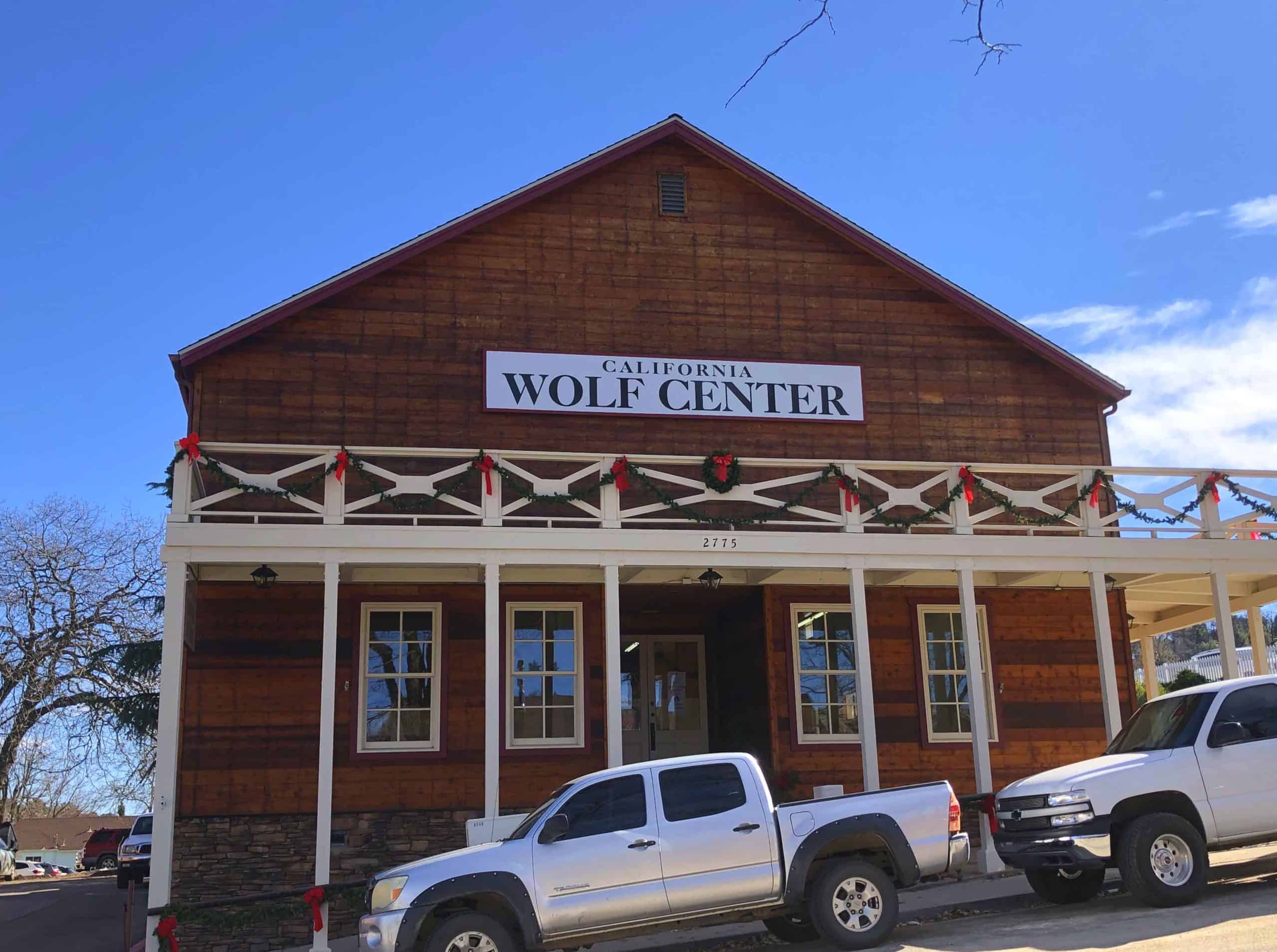California Wolf Center Julian CA day trip