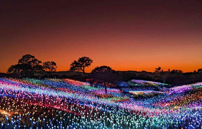 Field of Light at Sensorio