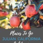 Julian CA