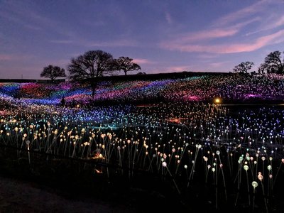 Field of Light at Sensorio, Evening Photo