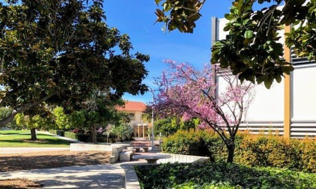 How to Decide if Cal Poly, SLO is the Right School for You