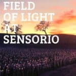 Field of Light