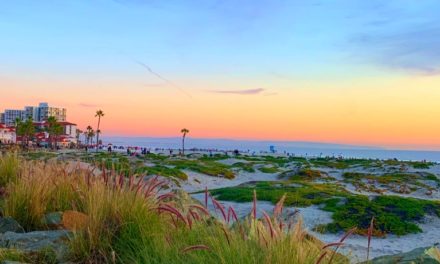 Explore The Most Stunning Beaches San Diego Has To Offer
