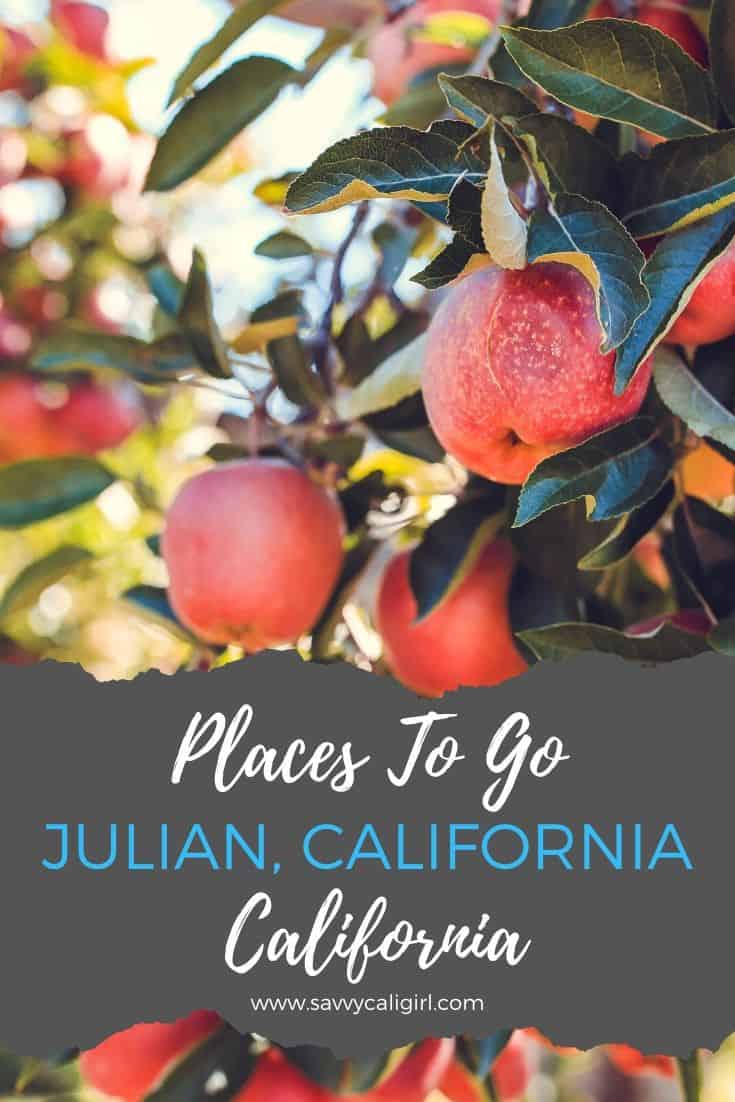 San Diego Day Trip To Julian, California