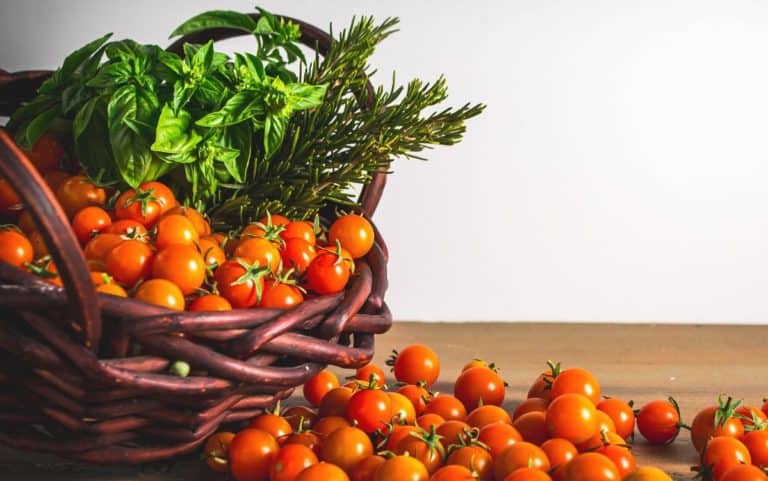 Backyard Garden Bounty