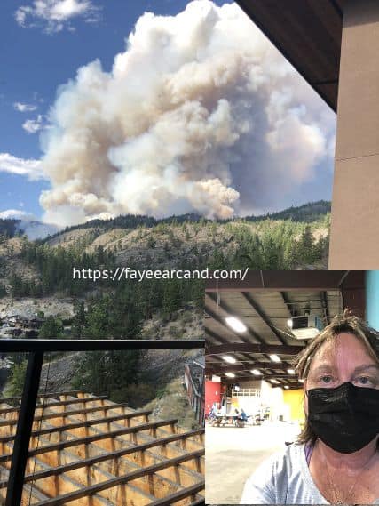 Faye E. Arcand, Fellow Blogger on Wildfire Evacuation