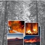 Wildfire Season in California