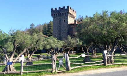 A Fabulous Afternoon Wine Tasting at Castello di Amorosa in Napa Valley