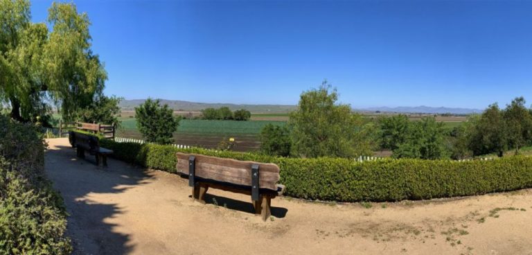 California Missions