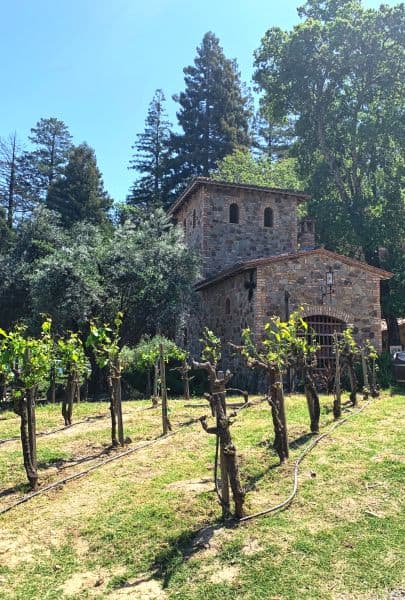 Castello di Amorosa Vineyards