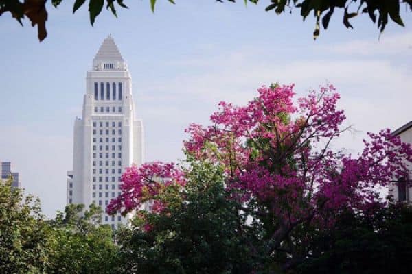 Grand Park Los Angeles View