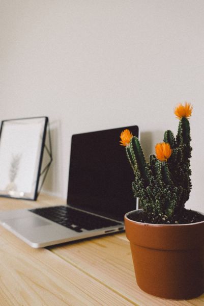 Organize Your Space or Desk