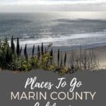 Places To Go In Marin County California