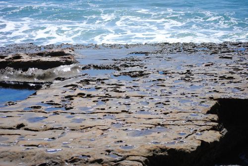 Tide Pools