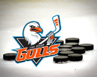 Gulls Hockey