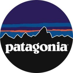 Patagonia Logo: Great Logo Development & Branding