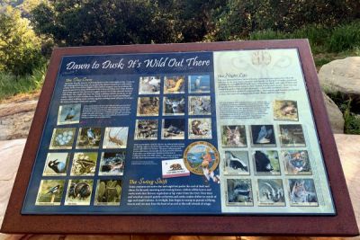 Wildlife Information at Santa Barbara View Point