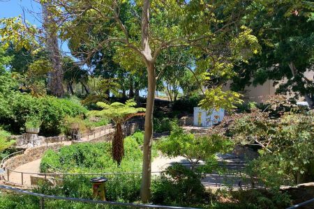 Zoro Gardens in Balboa Park