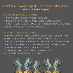 Find The Sweet Spot For Your Blog Post Title