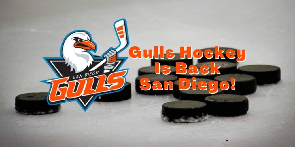 California Seals vs San Diego Gulls WHL Game Program Hockey Program