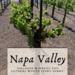 Napa Valley Vacation