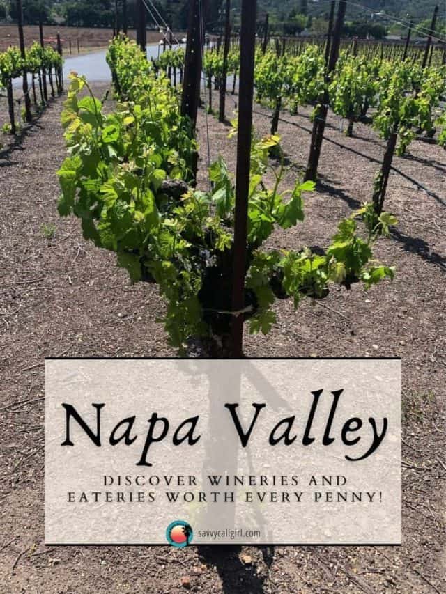 Discover Wineries, Eateries in Napa Valley & Sonoma Valley!