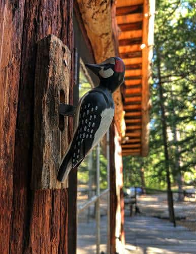 Bird Door Knocker at Cabin