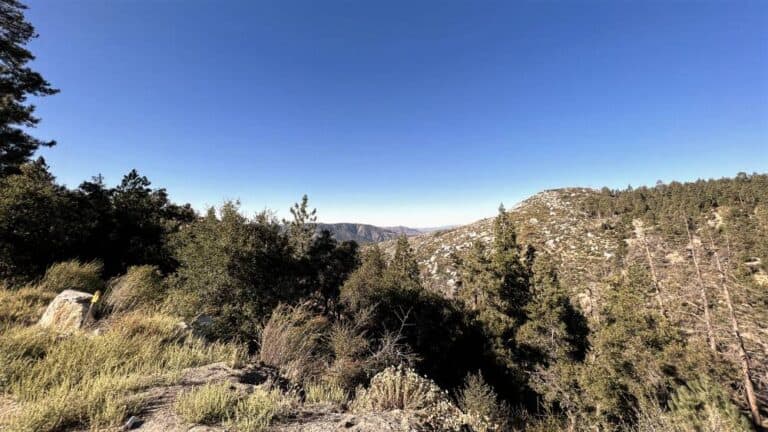 Idyllwild California View
