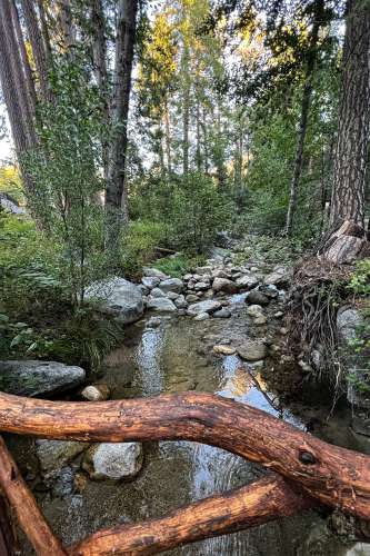 Strawberry Creek in Idyllwild California